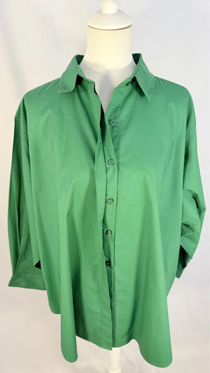 Chemise Timothy verte